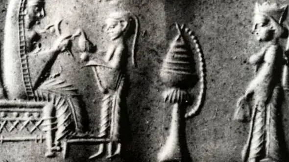  شگفتی‌های ۶ زن قدرتمند ایرانی + عکس