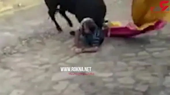 حمله وحشتناک گاو خشمگین به یک مرد+فیلم