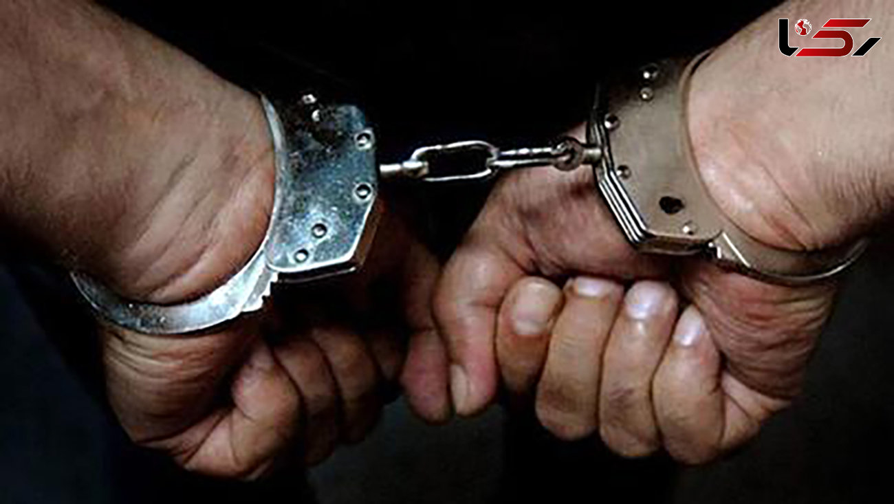 انهدام باند شرکت هرمی مکس اوت در مازندران/ ۱۱ متهم ‌بازداشت شدند