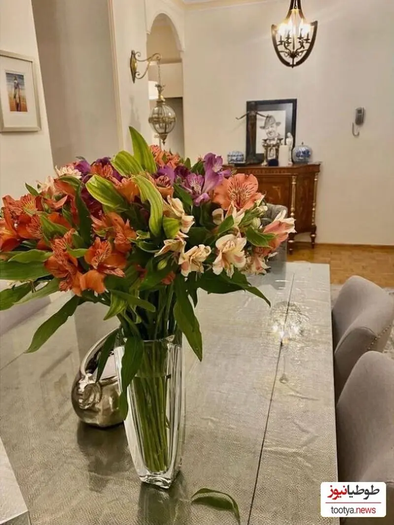 نرگس محمدی