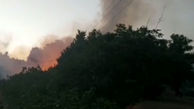 جزئیات آتش سوزی در پارک پردیسان تهران + فیلم