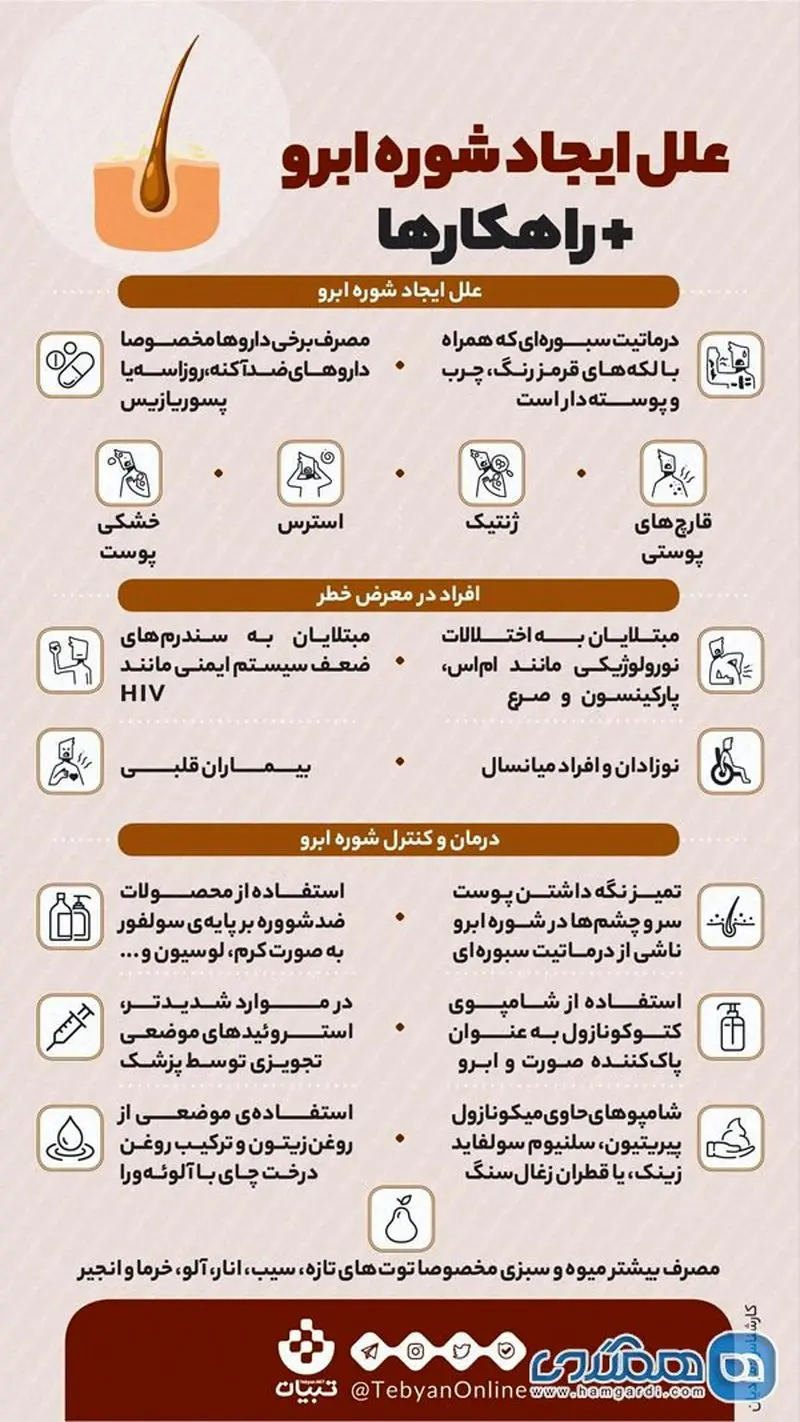 شوره ابرو