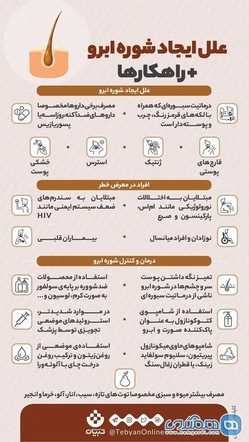 شوره ابرو