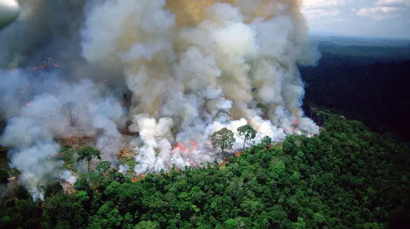 سوختن جنگل های ایران از شمال تا جنوب، به دست انسان ها / وزرات نیرو و صمت معضل حفاظت از جنگل ها 