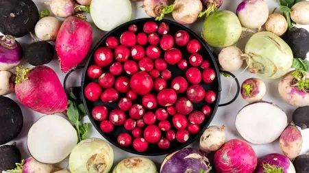 ترب و تربچه: ضد سرطان، ضد التهاب و دوست معده شما / پاسخ به پرسش های کاربران