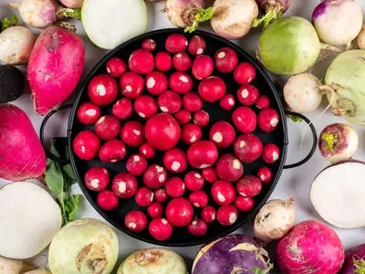 ترب و تربچه: ضد سرطان، ضد التهاب و دوست معده شما / پاسخ به پرسش های کاربران