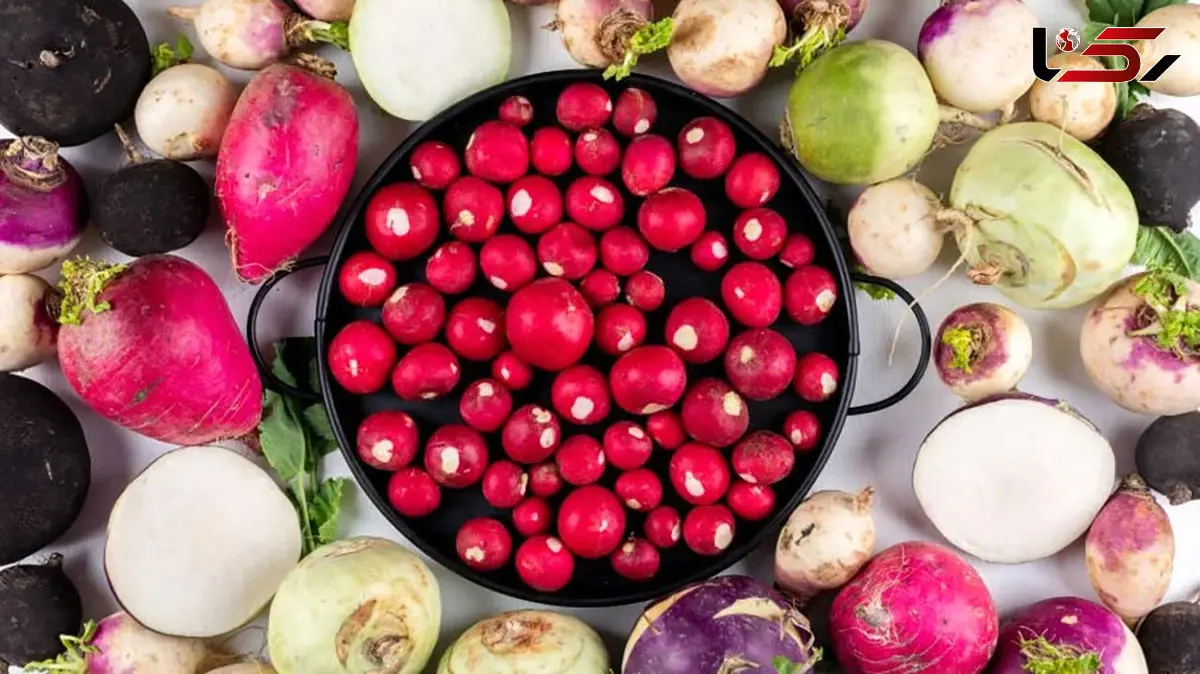 ترب و تربچه: ضد سرطان، ضد التهاب و دوست معده شما / پاسخ به پرسش های کاربران