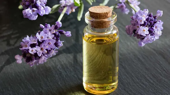 اضطراب تان را با روغن اسطوخودوس کاهش دهید
