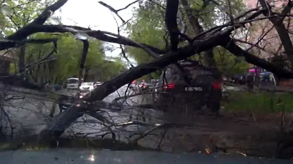 راننده خوش شانس، راننده بد شانس را در روز بارانی ببینید! + فیلم