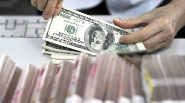 افشای ارزبگیران بزرگ / کدام شرکت‌ ها بیشترین ارز را دریافت کرده‌ اند؟