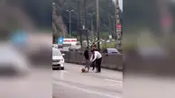 فیلم لحظه نجات یک سگ زخمی از مرگ در جاده های سوادکوه
