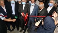 افتتاح طرح توسعه واحد صنایع تبدیلی و تکمیلی کشاورزی در شهرستان آبیک + گزارش تصویری