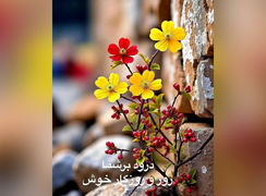 فال و طالع بینی روزانه 2 مرداد