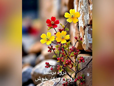 فال و طالع بینی روزانه 2 مرداد