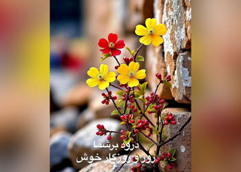 فال و طالع بینی روزانه 2 مرداد