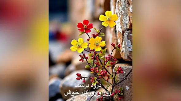 فال و طالع بینی روزانه 2 مرداد