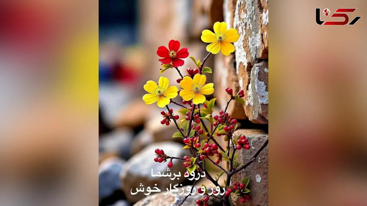 فال امروز 16 مرداد چیست؟