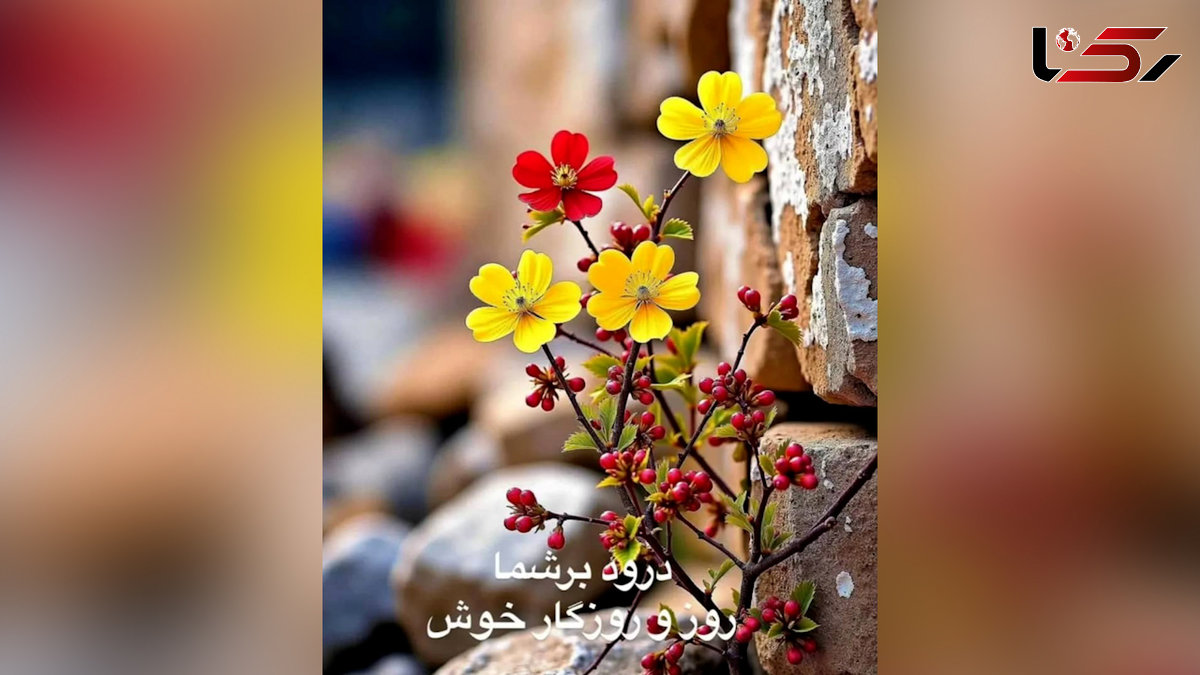 فال و طالع بینی روزانه 2 مرداد