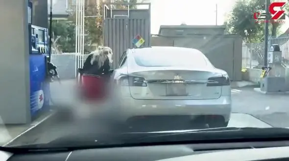 خنده های ناتمام 2 جوان به زن پولدار برای چه بود؟+فیلم