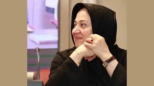 تاجران ایرانی نمی توانند با گونی ارز وارد کشور کنند ! / دولتمردان چاره ای بیاندیشند