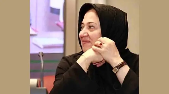 تاجران ایرانی نمی توانند با گونی ارز وارد کشور کنند ! / دولتمردان چاره ای بیاندیشند