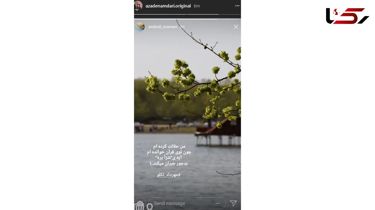 آزاده نامداری چه کسی را حلال کرد؟