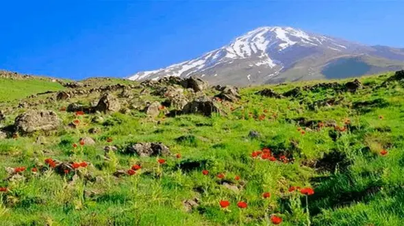 خلاصه مهم ترین اخبار 24ساعت گذشته مازندران