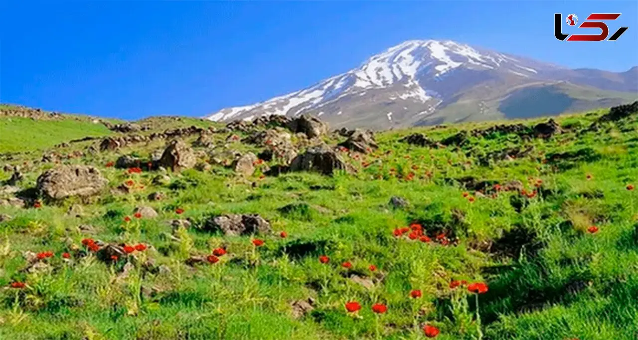 خلاصه مهم ترین اخبار 24ساعت گذشته مازندران