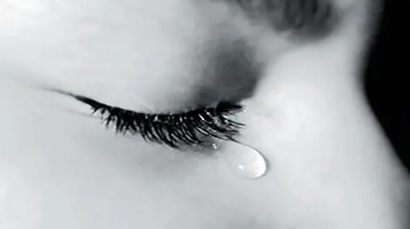 گرفتن فیلم از دختری که در باغ بود / پسر جوان اعتراف شیطانی کرد