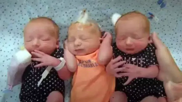 زن کلیه درد داشت اما 3 قلو زایید ! / در داکوتا رخ داد + عکس بامزه