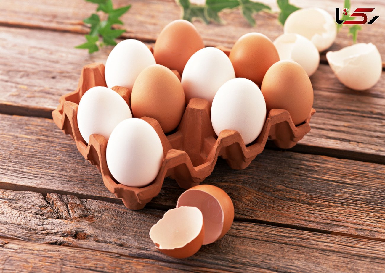 تخم مرغ ها را قبل از مصرف بشویید/آلودگی پوسته تخم مرغ زیاد است