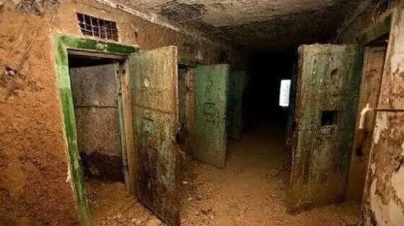 اطلاعاتی شوکه‌کننده درباره زندان‌های مخوف عربستان و امارات / سگ‌های وحشی تا اقداماتی شرم‌آور!