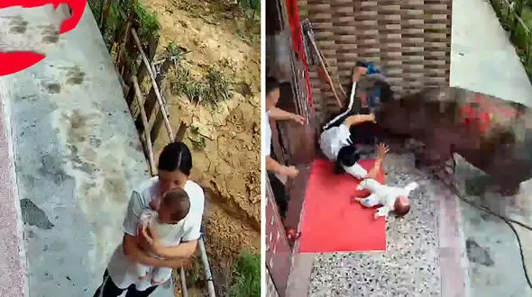 لحظه وحشتناک حمله گاو فراری به یک زن خانه دار و بچه اش! + فیلم / چین