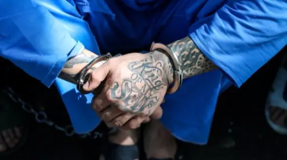 تعقیب و گریز خونین در باشت / شرور سابقه‌دار پس از درگیری با پلیس زمین‌گیر شد!