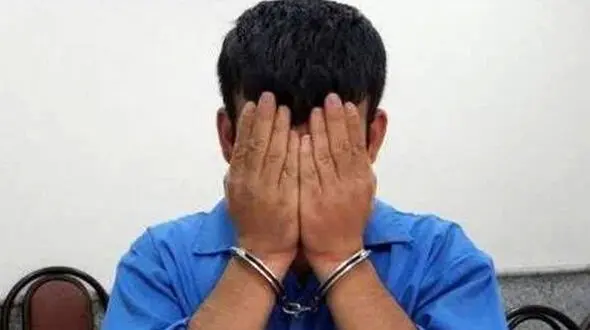 دستگیری سارق حرفه‌ای در مشگین‌شهر
