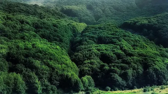 از دریاچه ویستان تا غروب مسجد جامع یزد