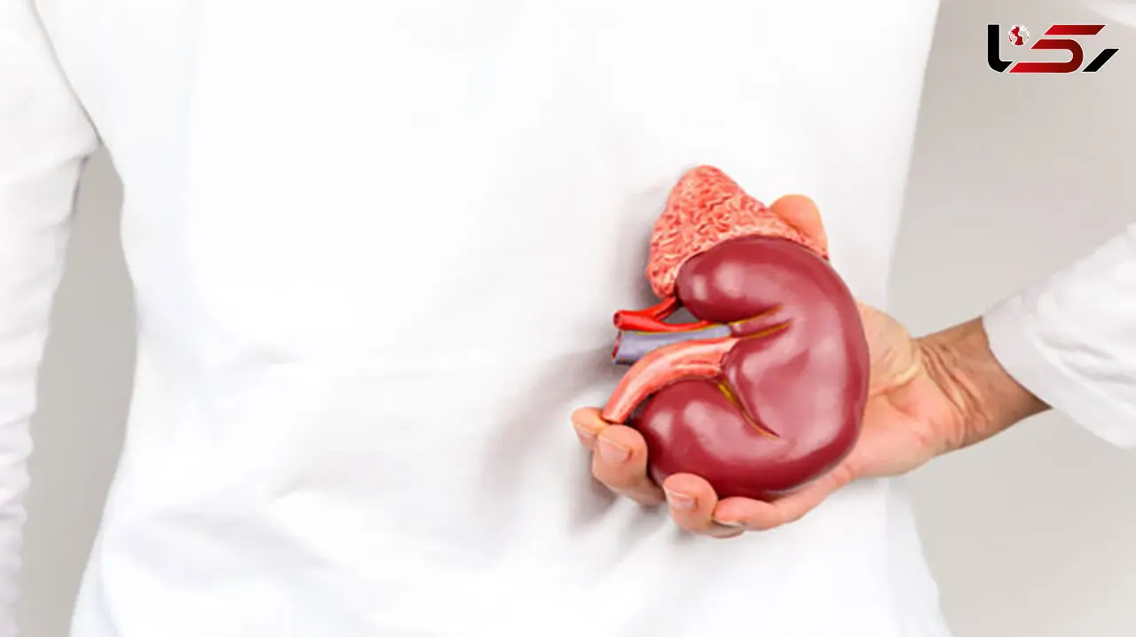 10 علامت اولیه اختلالات کلیوی + اینفوگرافی