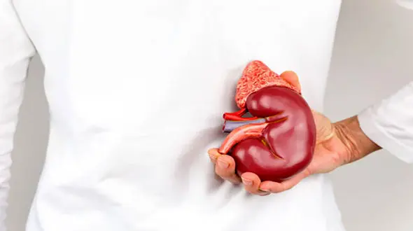 10 علامت اولیه اختلالات کلیوی + اینفوگرافی