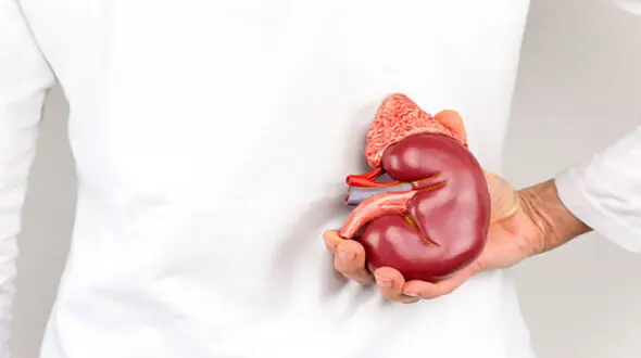 10 علامت اولیه اختلالات کلیوی + اینفوگرافی
