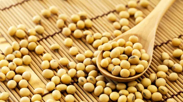 معرفی مواد غذایی که به درمان ریزش مو کمک می کند