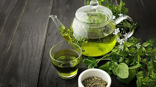 با چای سبز آلزایمر معنا ندارد