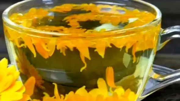 دمنوش سم زدایی بدن + فیلم