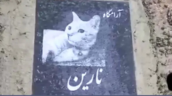 محل قبرستان عجیب حیوانات در تهران لو رفت! + فیلم پربازدید این قبرستان حیوانات