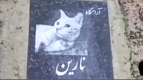 محل قبرستان عجیب حیوانات در تهران لو رفت! + فیلم پربازدید این قبرستان حیوانات