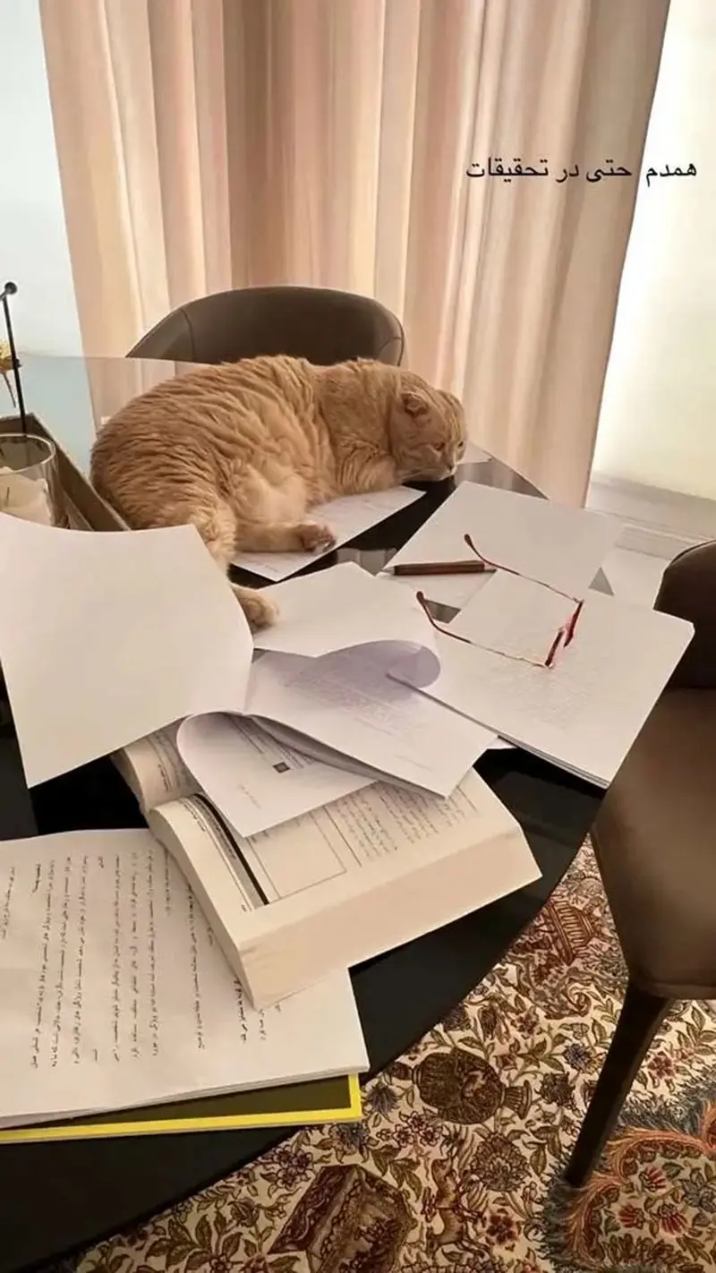 همدم بهنوش طباطبایی