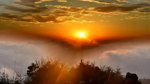 طلوع و غروب خورشید؛ داروی طبیعی مغز و روان