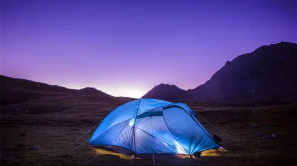 یک مرد در محاصره شیرهای گرسنه! + فیلم / آفریقا