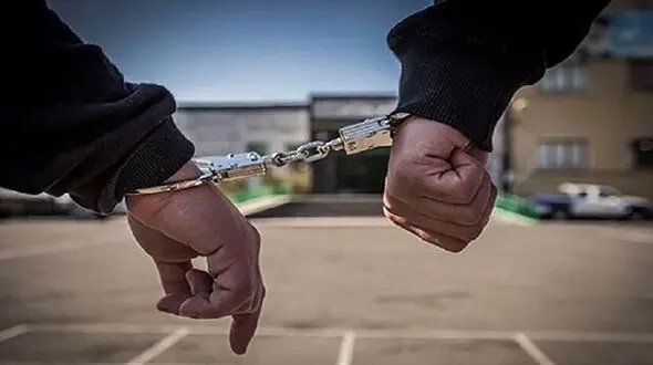 بازداشت عامل آتش سوزی اراضی جنگلی کازرون 