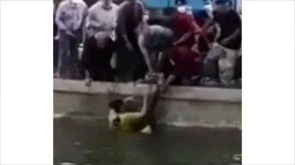 فیلم  فداکاری یک تبریزی در صحنه خودکشی پسر جوان!