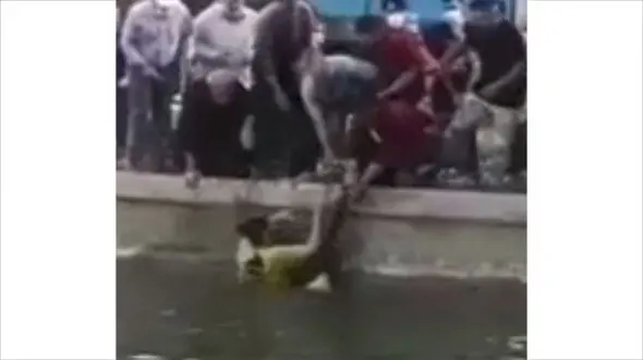 فیلم  فداکاری یک تبریزی در صحنه خودکشی پسر جوان!